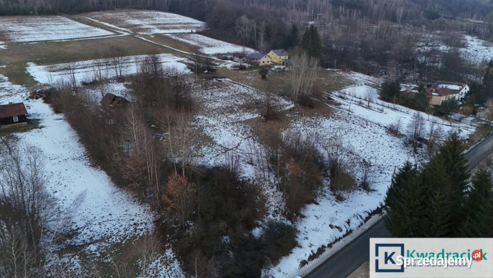 Działka Pietrusza Wola 4800m2