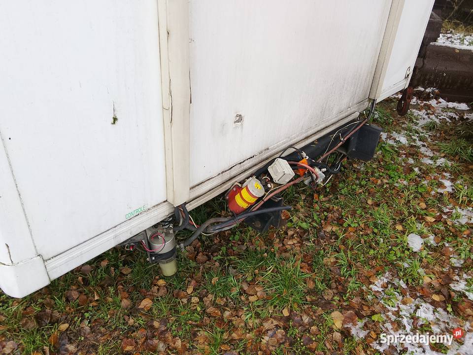 Kontenery mroźnie izotermy kontener róże rodzje