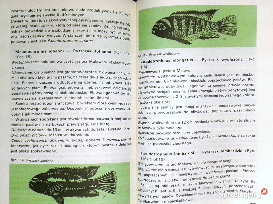 Słodkowodne ryby akwariowe Stefan Kornobis Chełm