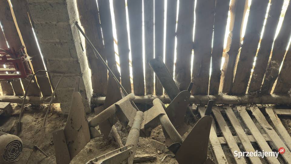 Pług nieuszkodzony Pstrągowa