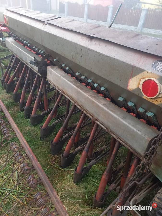 Siewnik poznaniak podkarpackie Jarosław