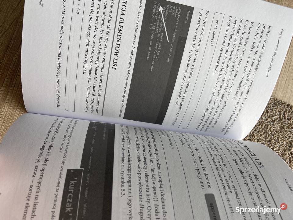 Programowanie początkujących Mark Lassoff Osięciny