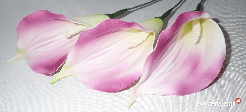 Kalia sztuczna wyrobowa piankowa do bukietów 6 Siewierz