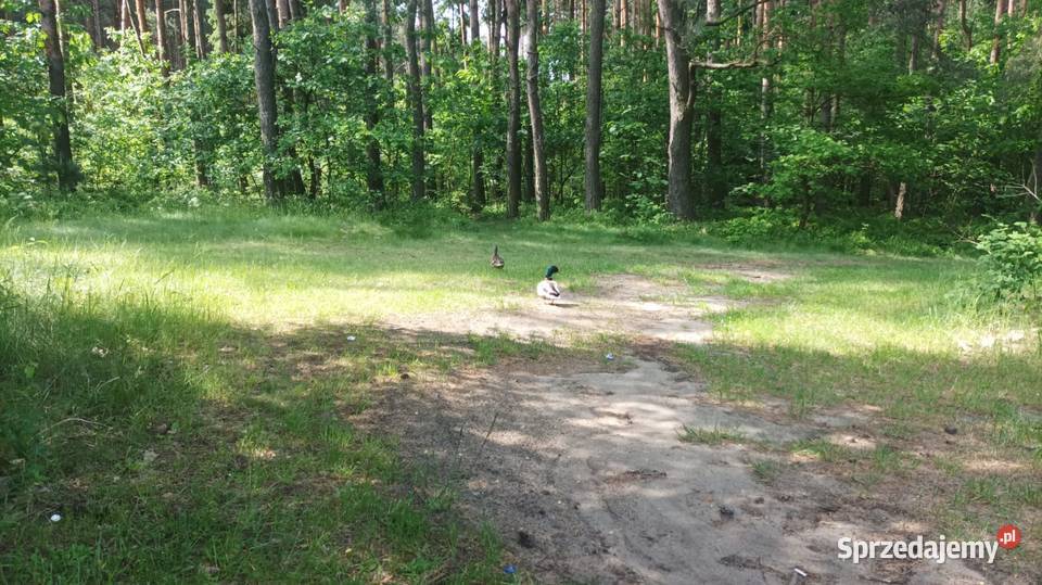 działka rekreacyjna zalewem Chechłozabudowana prąd śląskie Nowe Chechło sprzedam