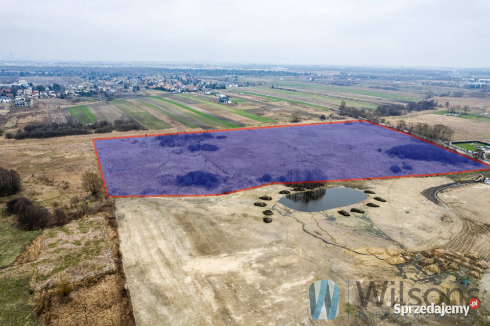 Działka Falenty Nowe Jaworowska 65910m2 asfalt Sprzedaż