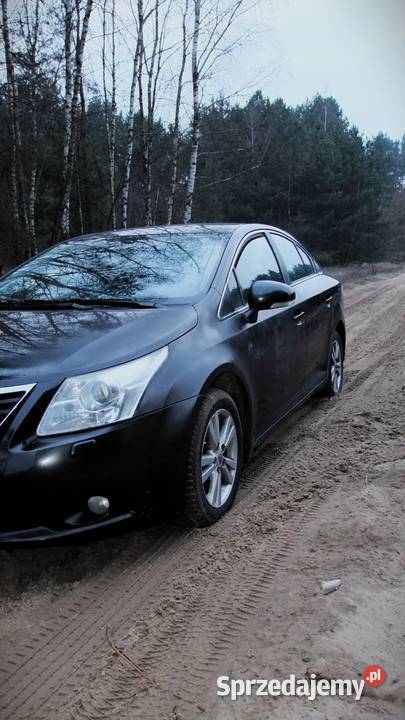 Toyata Avensis Kotuń