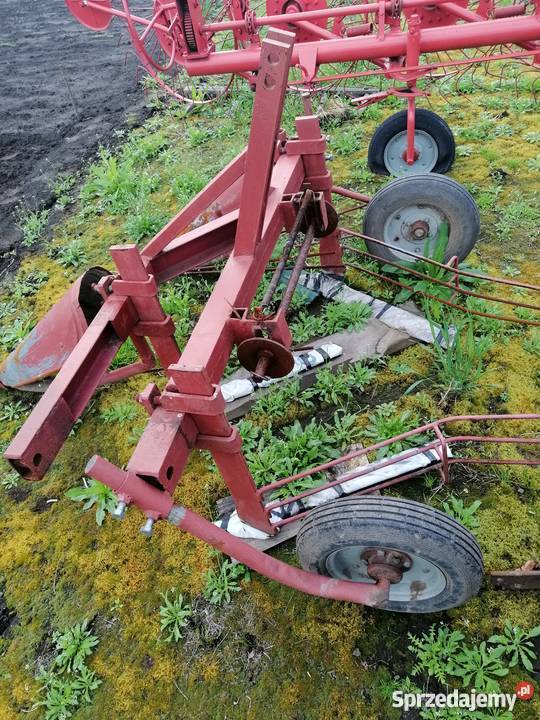 Ścinacz do fasoli trzy rzędowy przerobiony na Dutrów