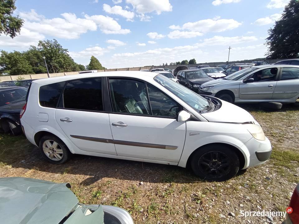 Renault Megane Scenic 19 96 kW 2005 r dawca Szklarka Myślniewska