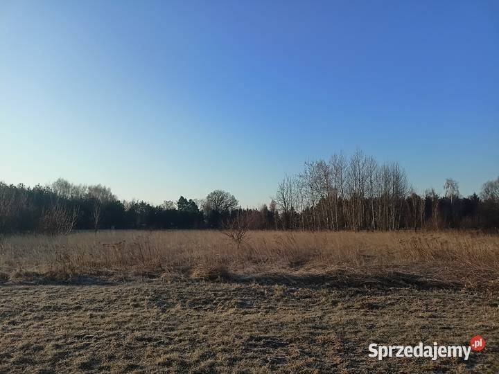 Sprzedam łódzkie Sieradz