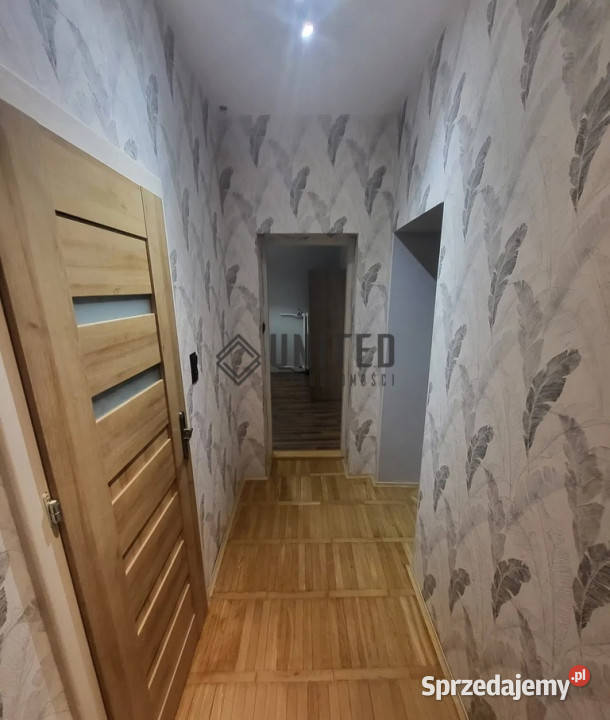 Kotlarskiej