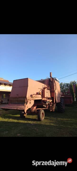 Bizon zo56 warmińsko-mazurskie Sępopol sprzedam