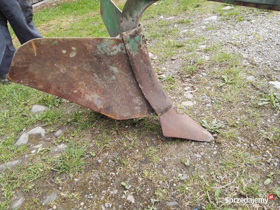 Obsypnik płużek konny małopolskie Gołkowice Górne