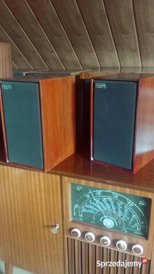 Celestion Ditton 11 Vintage Gdańsk