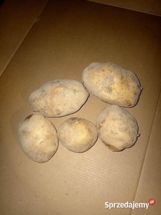 Ziemniaki Nawsie Brzosteckie