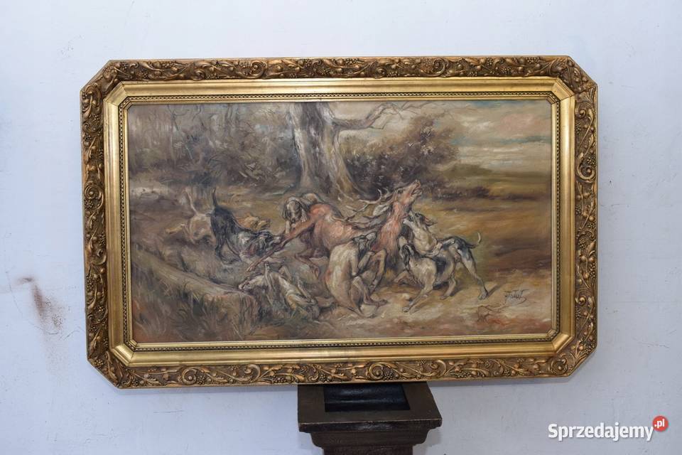 J Fałat Atak Psów na Jelenia Łoś Jeleń Natura małopolskie Kraków