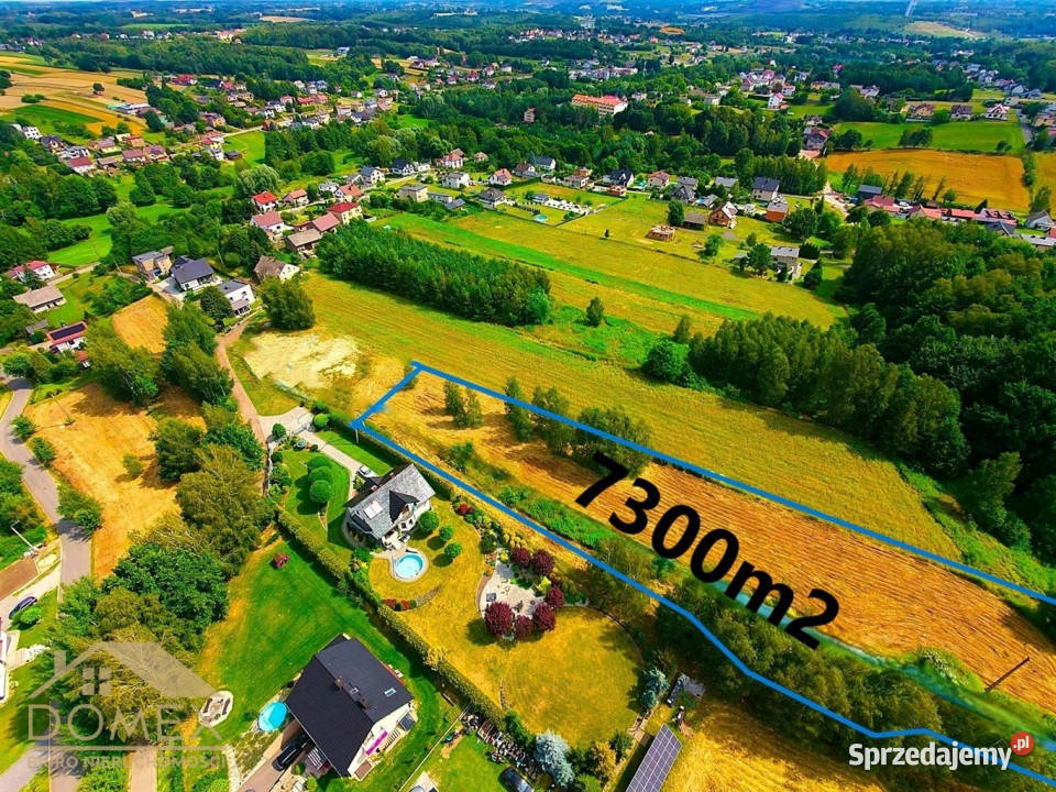 Grunt 8300m2 Mszana