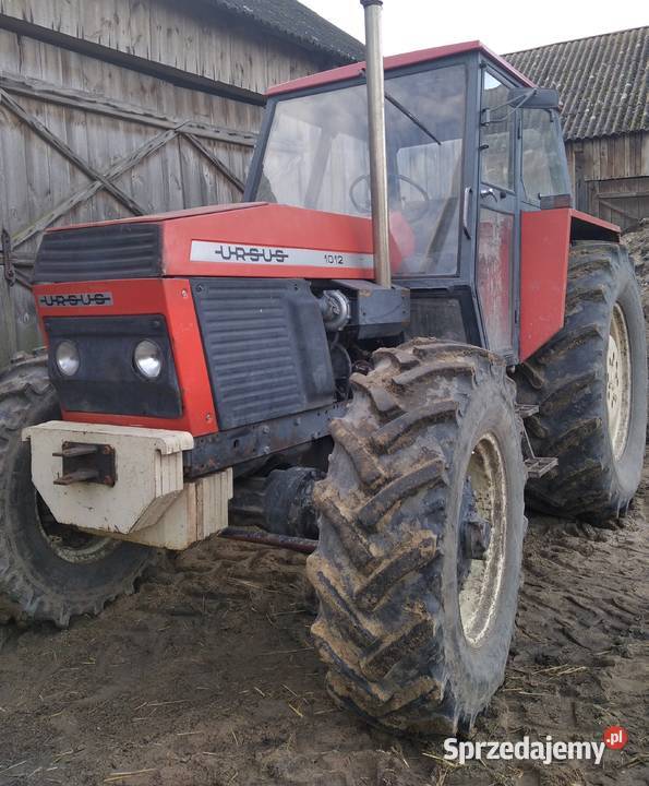 ursus Ursus mazowieckie Odechów