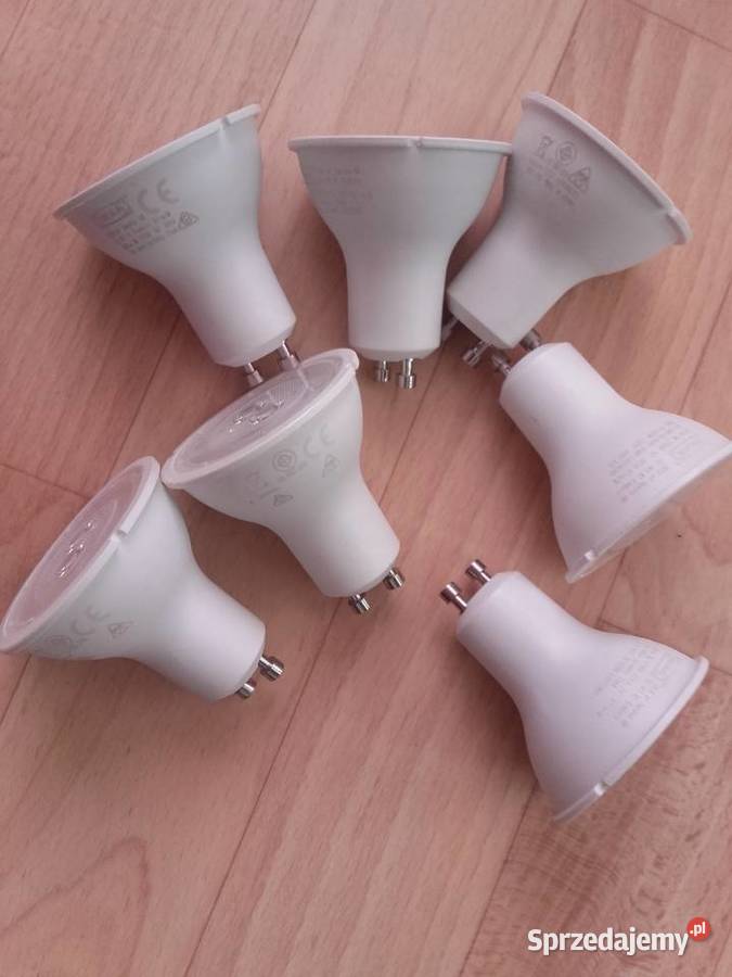 Żarówka Led 240 V biały lubuskie Zielona Góra