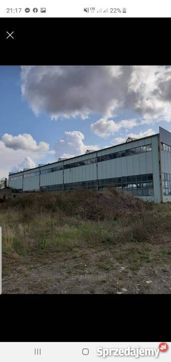 Suwnica 125 tony kompletna Produkcja Jankowo