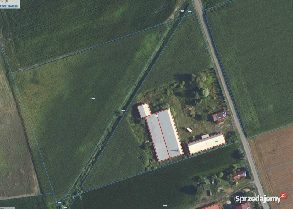 Teren lotnisku CPK Sprzedaż Nowy Oryszew
