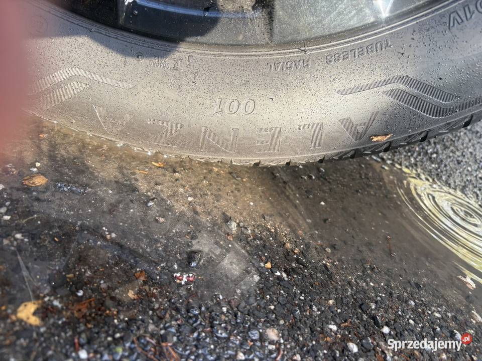 Bridgestone 2355519 Samochodowe lubuskie Żagań