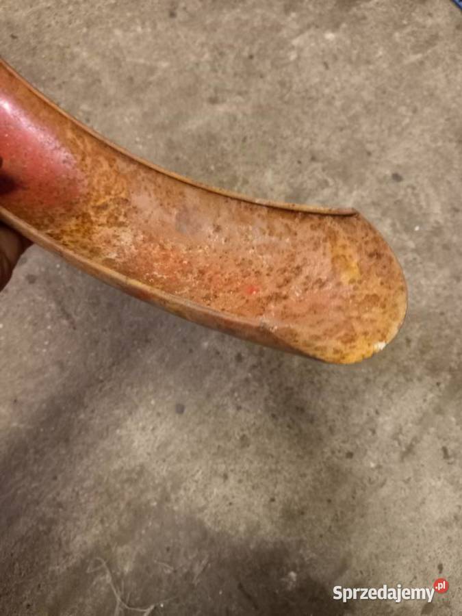 Blotnik zak rye Sokołów Podlaski