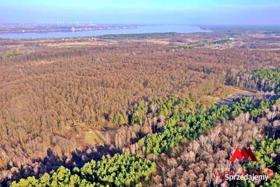 sprzedaży działki Wistka Królewska 3100m