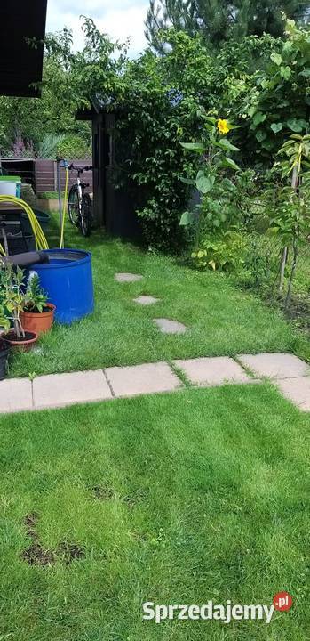 Działka ROD Tamel ogródek działkowy