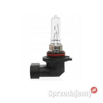 Żarówka halogenowa HB3 12V 65W 9005 AMIO 1 E8 wielkopolskie Poznań