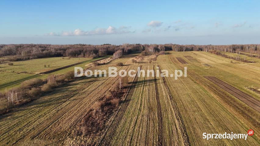 Działka Jodłówka 8587m2 8587m2