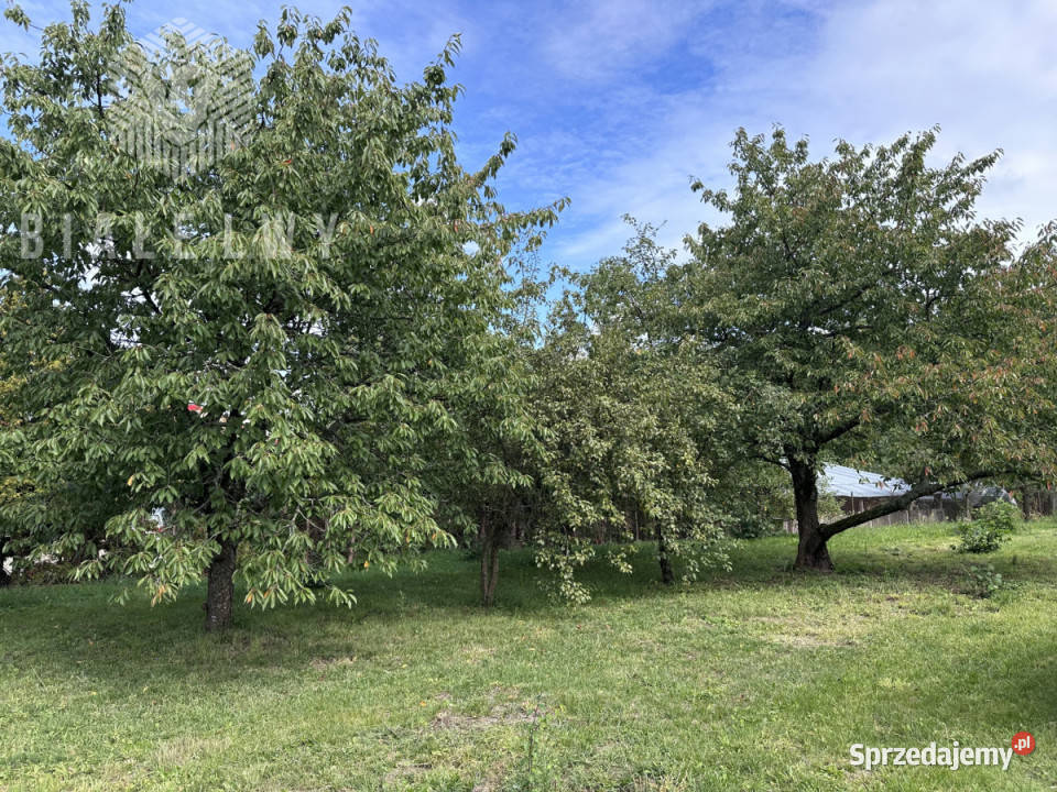 Lokal 800m2 Mrozy sprzedam