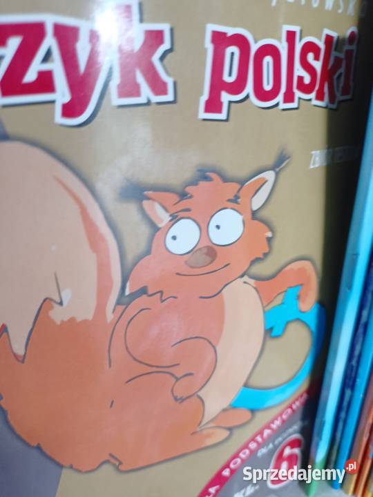 Język polski książki Trójmiasto szkolne Gdańsk