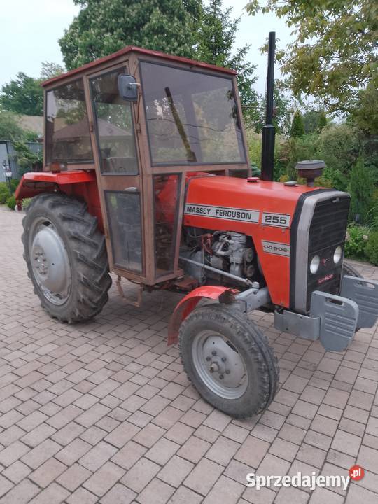 Sprzedam Massey Ferguson z1987r oryginał wielkopolskie Szczytniki sprzedam