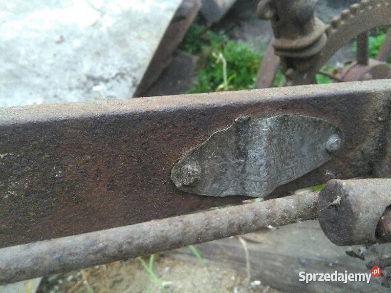 plug niemiecki konny świętokrzyskie Jędrzejów
