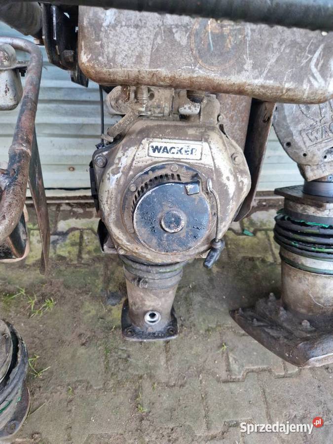 Skoczek wacker 3x pakiet Legnica