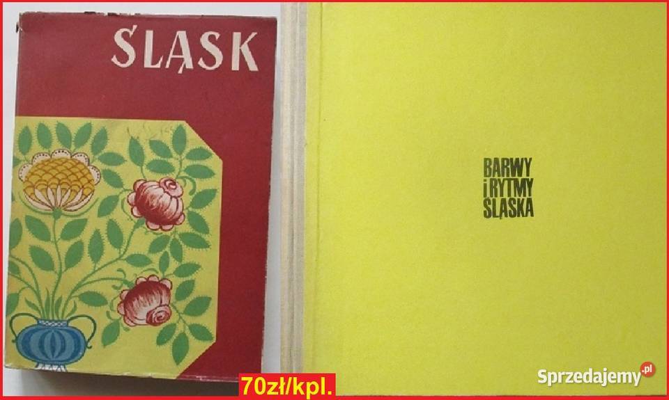 Przewodnik Polsce Pomniki sztuki w Polsce t1 Łódź sprzedam