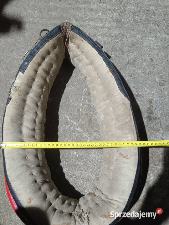 sprzedam homonto na lekkiego konia małopolskie Wola Radłowska