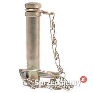 Sworzeń 19x113 mm kat1 podkarpackie