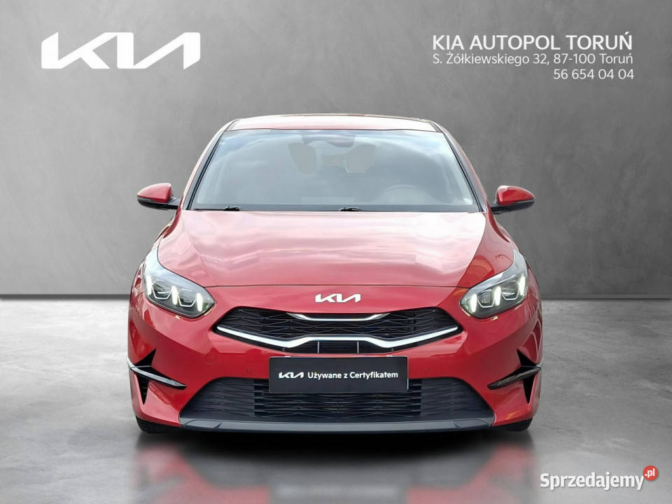 Kia Nowy Ceed Hatchback Toruń