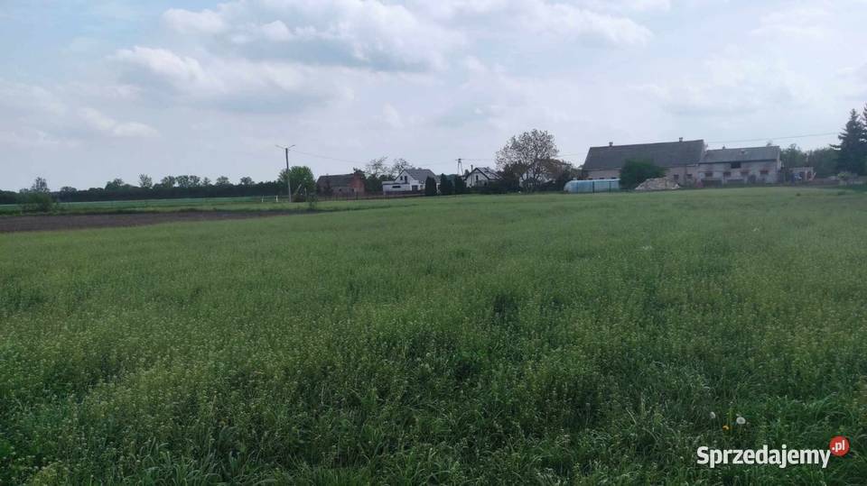 Sprzedam działki Sprzedaż
