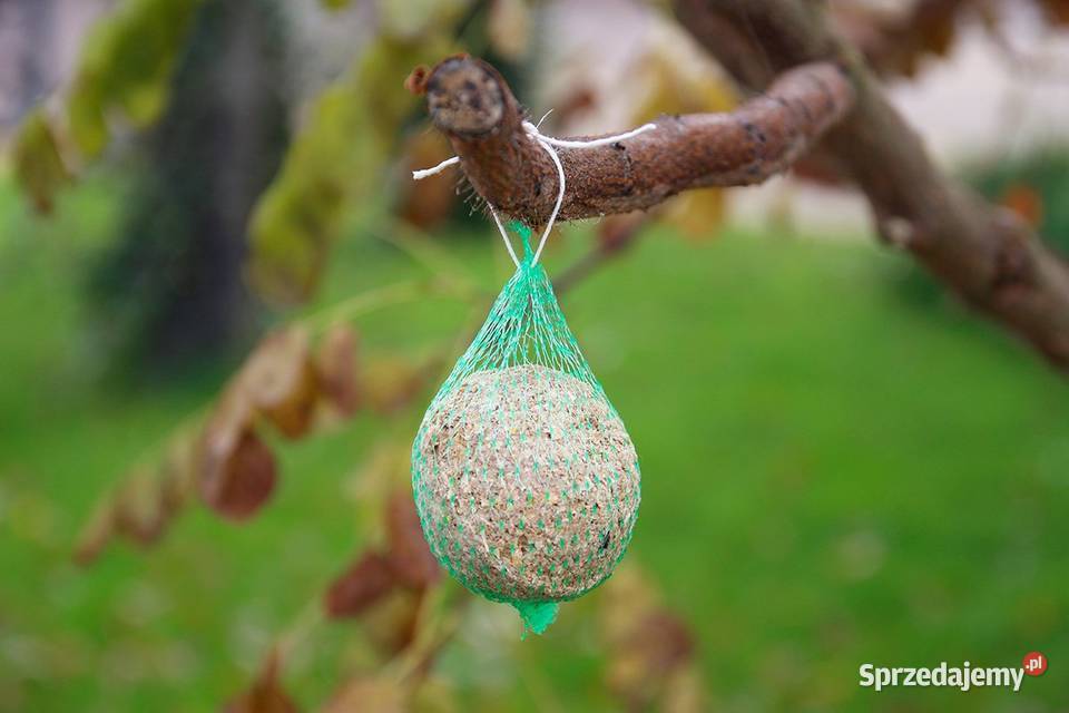 KARMA sikorek ptaków KULA tłuszczowa 90g 50 Cieśle