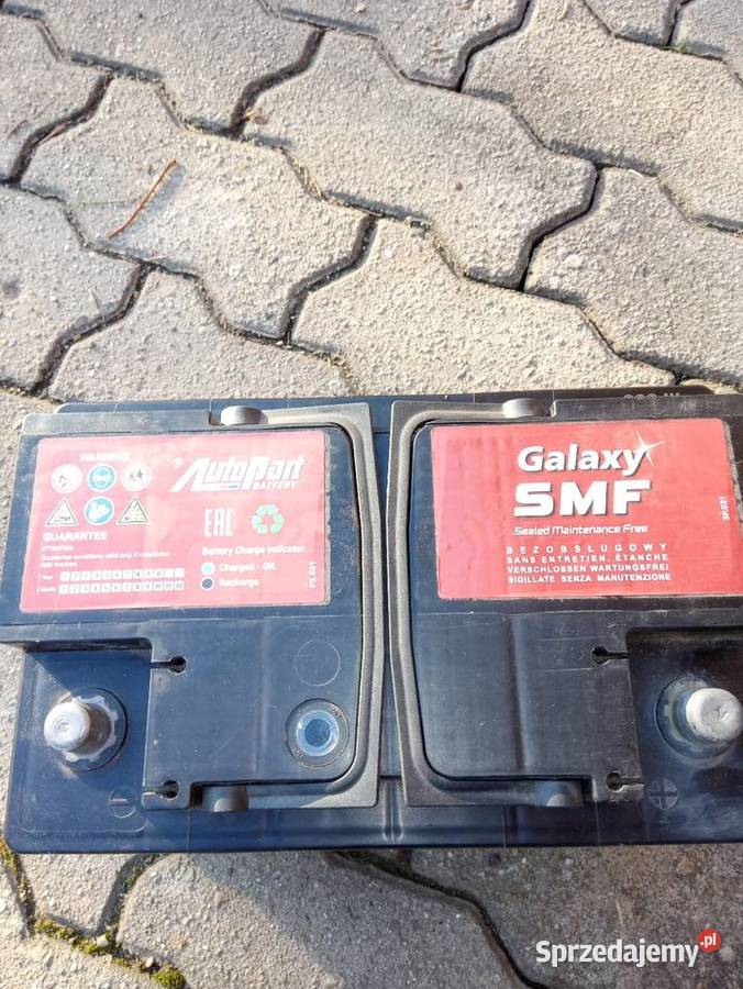 Scenic 19 dci Myślenice