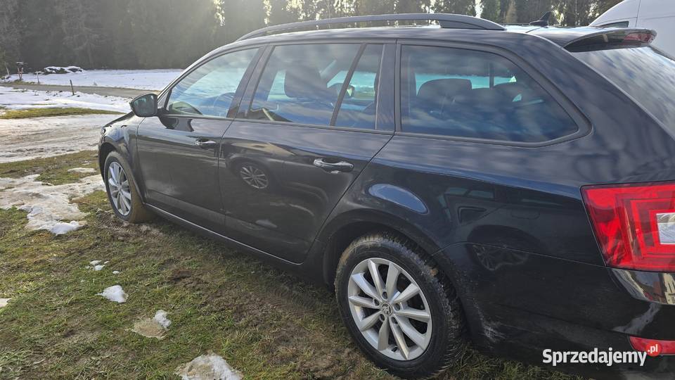 Skoda Octavia Combi 20 TDI 150 4x4 Sieniawa