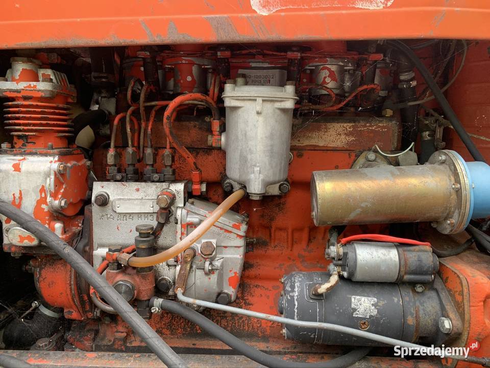 Sprzedam mtz 82 Łęczna
