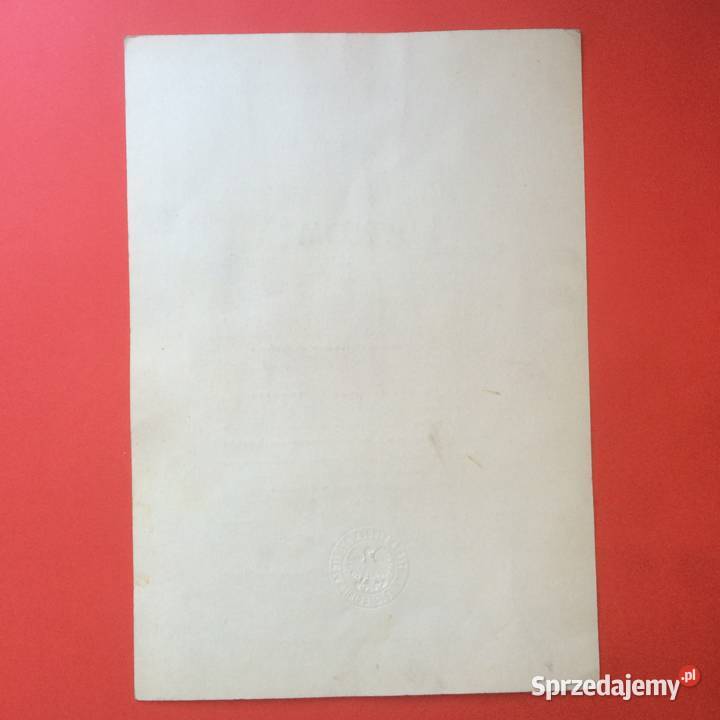 1753 Dyplom Ukończenia Studiów Tchórzewski Szczecin sprzedam