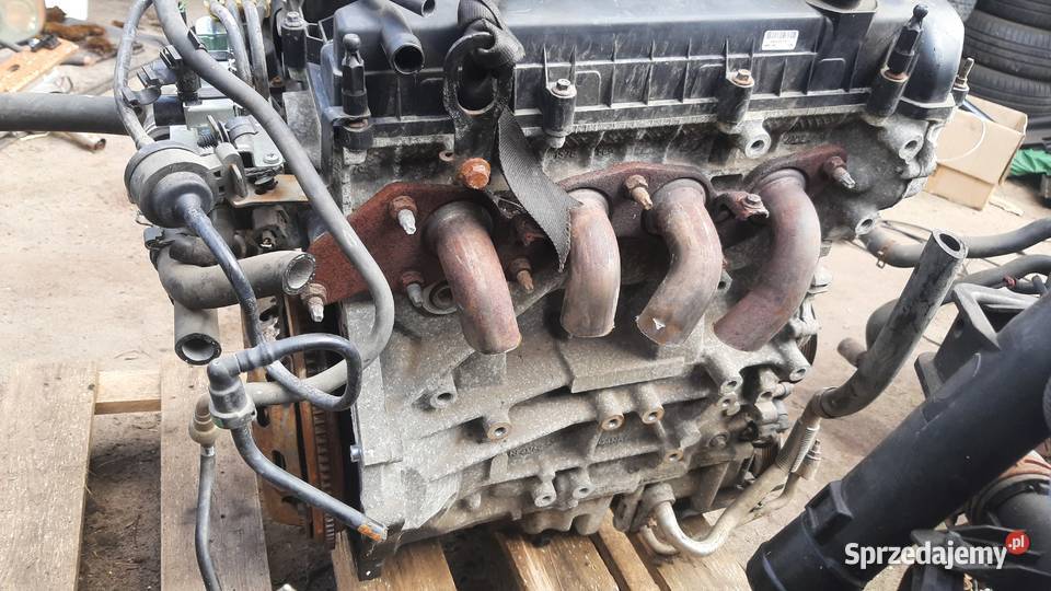 QQDB silnik 18 16V Ford Mazda 229 osobowe Korzeńsko