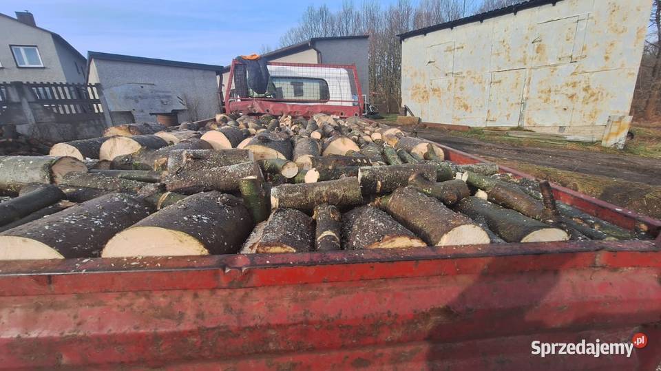 Wycinka drzew materiał Częstochowa
