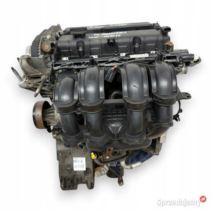 SILNIK HXDB Ford Focus II MK2 C C 16 16V Ti HXDA osobowe Silniki kompletne sprzedam