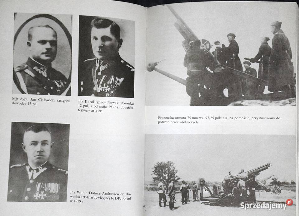 Artyleria polska 19141939 Roman Łoś Rok wydania 1991 Chełm