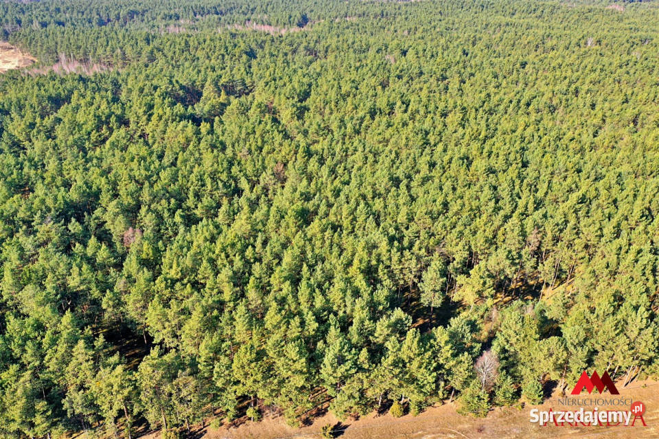 sprzedaży działki 12600m2 Bobrownickie Pole